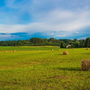 Грант "Агротуризм": в Костромской области принят Порядок предоставления грантов на развитие сельского туризма